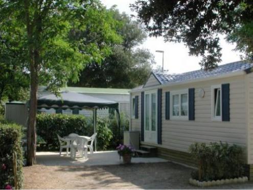 Ostrea Poitou-Charentes - Dolus d'Oléron visuel 8/9 Ostrea Poitou-Charentes - Dolus d'Oléron visuel 8/9