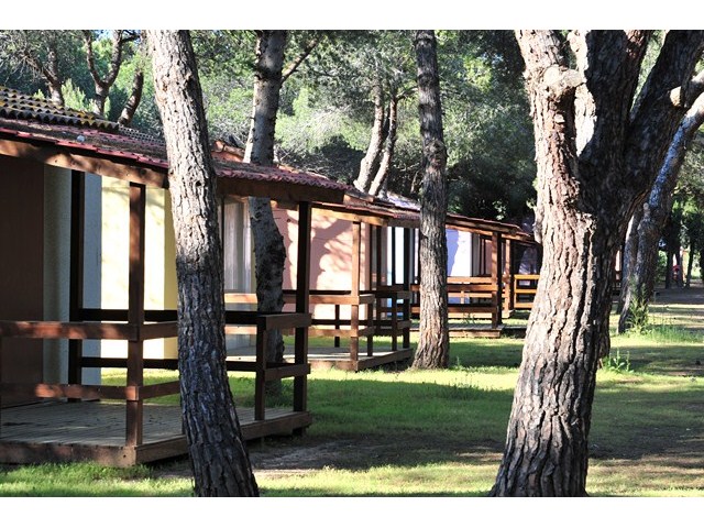 Parc Résidentiel Bellevue Languedoc-Roussillon - Valras-Plage visuel 12/12 Parc Résidentiel Bellevue Languedoc-Roussillon - Valras-Plage visuel 12/12