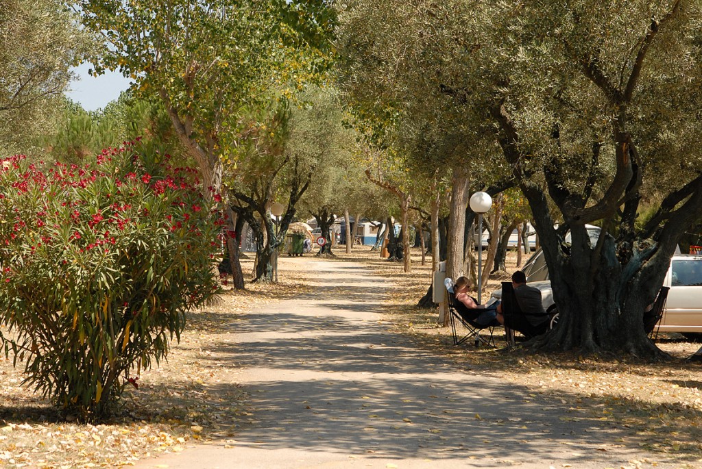Relax-Ge Costa Brava - Mont-ras visuel 6/10 Relax-Ge Costa Brava - Mont-ras visuel 6/10
