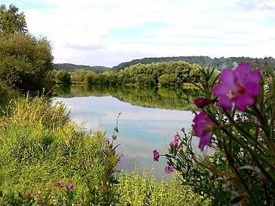 Risle-Seine les Etangs Hoog-Normandië - Toutainville visuel 4/10 Risle-Seine les Etangs Hoog-Normandië - Toutainville visuel 4/10