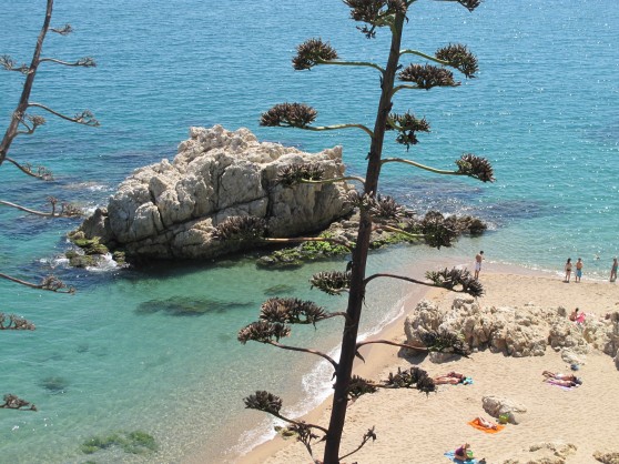 Roca Grossa Costa Brava - Calella visuel 5/7 Roca Grossa Costa Brava - Calella visuel 5/7