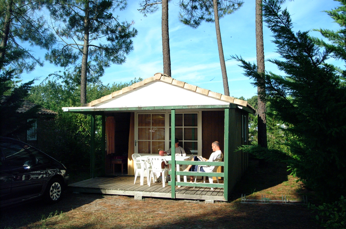 Saint-jacques Aquitaine - Laas visuel 1/1 Saint-jacques Aquitaine - Laas visuel 1/1