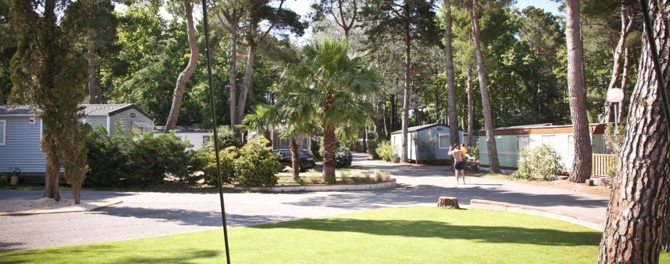 Taxo Les Pins Languedoc-Roussillon - Argelès-sur-Mer visuel 14/17 Taxo Les Pins Languedoc-Roussillon - Argelès-sur-Mer visuel 14/17