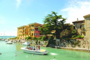 Tiglio Lombardije - Sirmione visuel 10/10 Tiglio Lombardije - Sirmione visuel 10/10