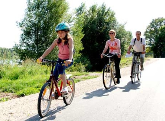 Val de Blois Groot-Centrum - Wijnhuis visuel 2/4 Val de Blois Groot-Centrum - Wijnhuis visuel 2/4