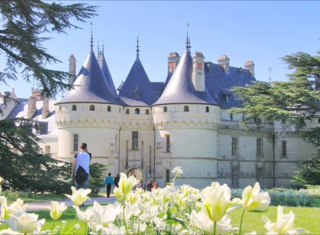 Val de Blois Groot-Centrum - Wijnhuis visuel 3/4 Val de Blois Groot-Centrum - Wijnhuis visuel 3/4