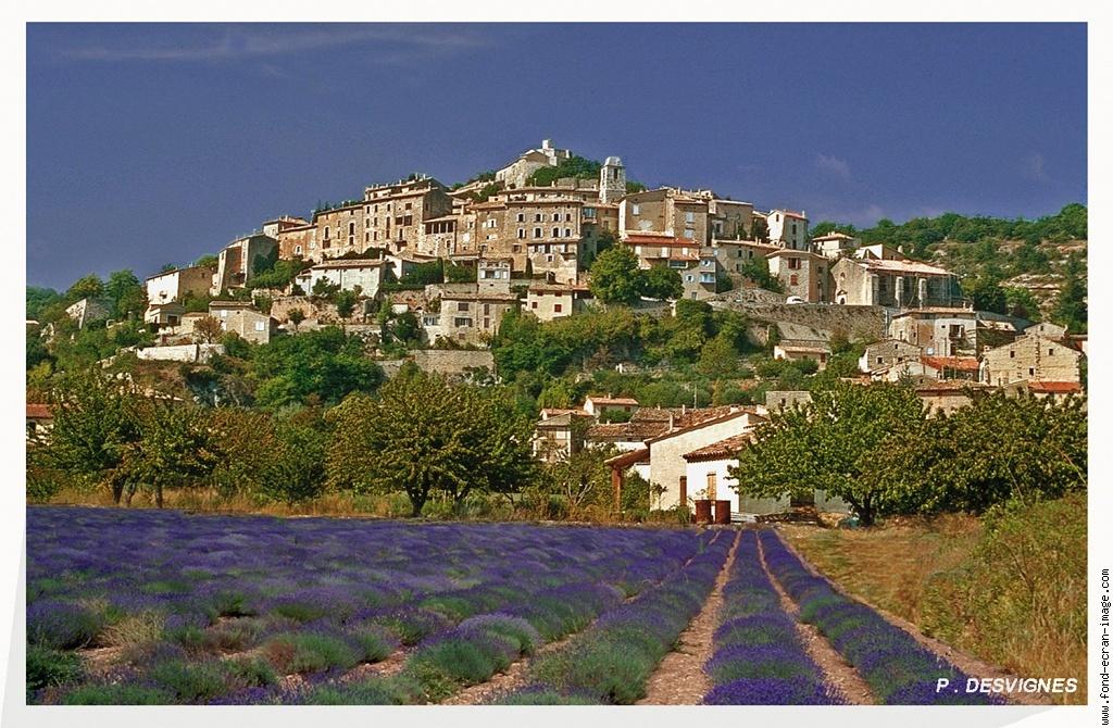 VALSAINTES LE CHATEAU Provence-Alpes-Côte d'Azur - Simiane-la-Rotonde visuel 10/10 VALSAINTES LE CHATEAU Provence-Alpes-Côte d'Azur - Simiane-la-Rotonde visuel 10/10