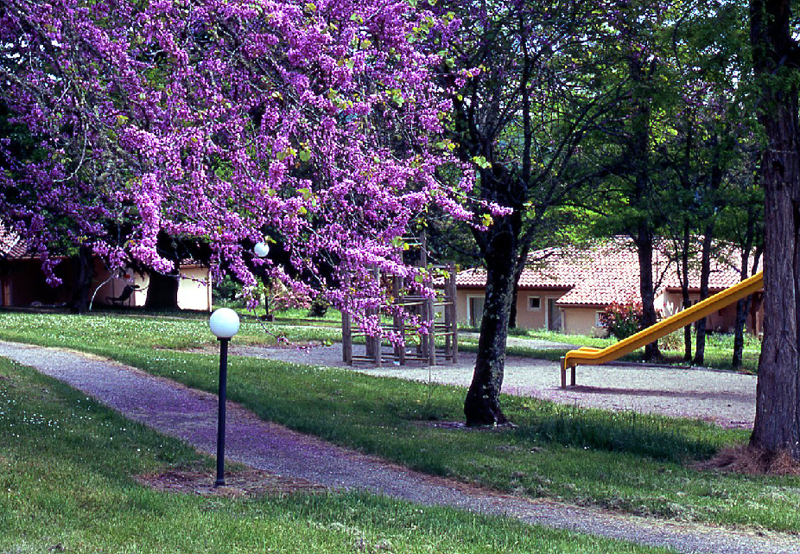 Village de Gites Chateau de Termes Midi-Pyreneën - Saint-Denis-lès-Martel visuel 3/9 Village de Gites Chateau de Termes Midi-Pyreneën - Saint-Denis-lès-Martel visuel 3/9