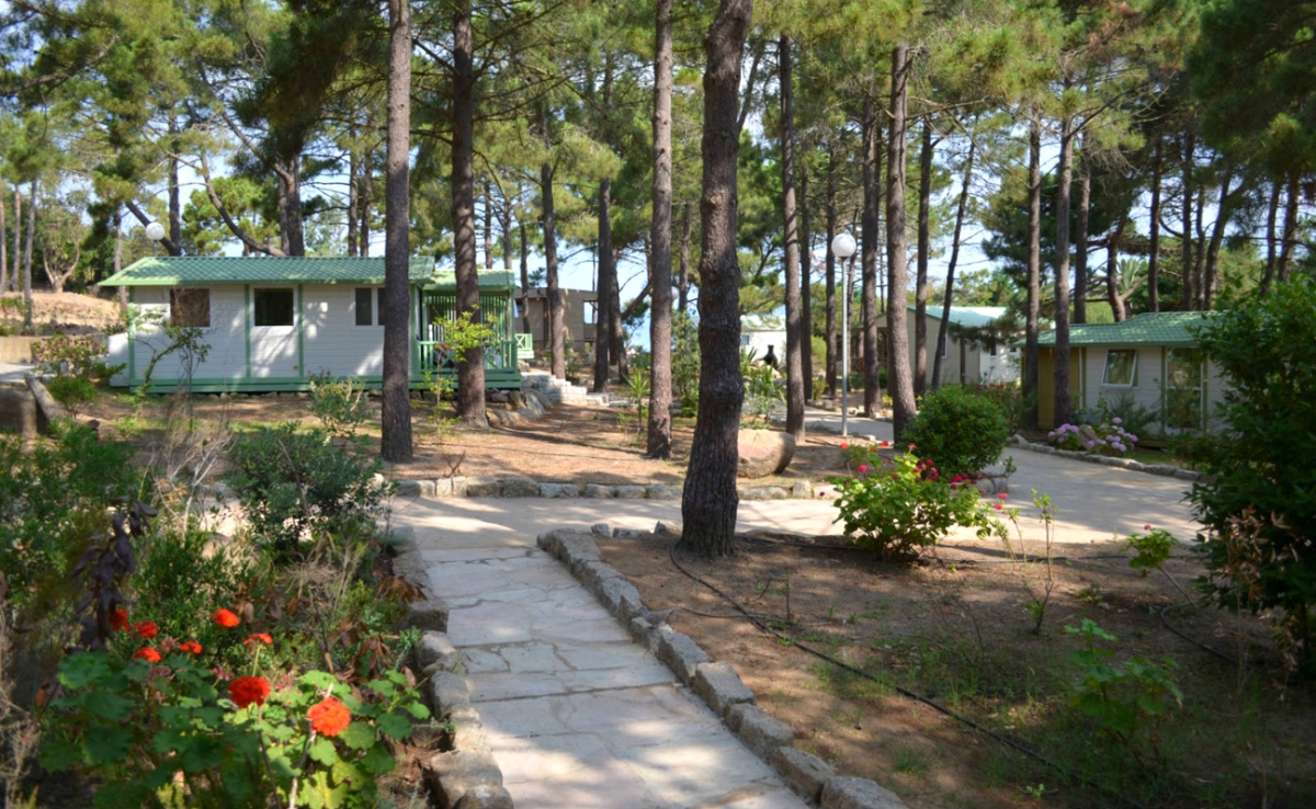 Village de vacances U Livanti Corsica - Belvedere-Campomoro visuel 1/10 Village de vacances U Livanti Corsica - Belvedere-Campomoro visuel 1/10