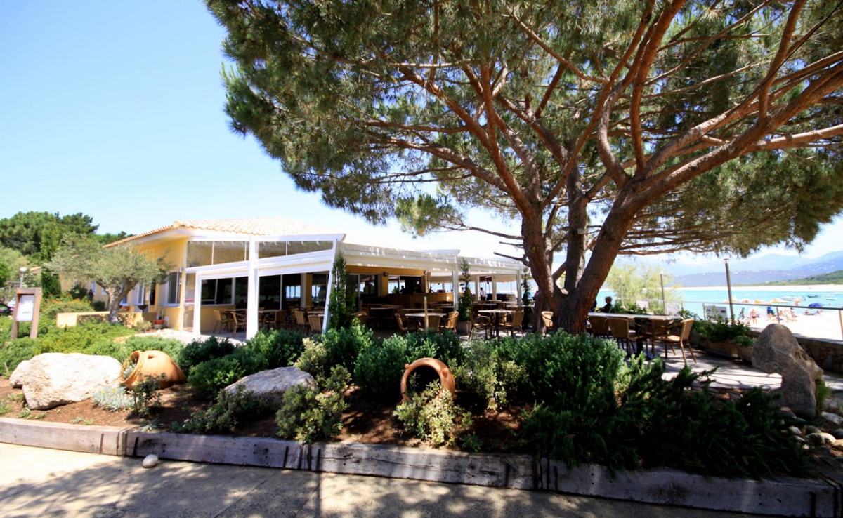 Village de vacances U Livanti Corsica - Belvedere-Campomoro visuel 6/10 Village de vacances U Livanti Corsica - Belvedere-Campomoro visuel 6/10