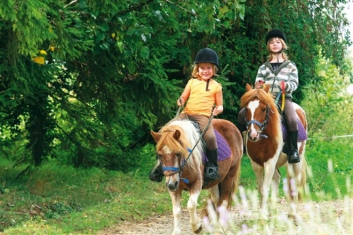 Village Vacances Les Hauts de Najac Midi-Pyreneën - Najac visuel 10/10