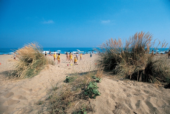 Villaggio Turistico Adriatico Venetië - Lido di Jesolo visuel 5/10 Villaggio Turistico Adriatico Venetië - Lido di Jesolo visuel 5/10
