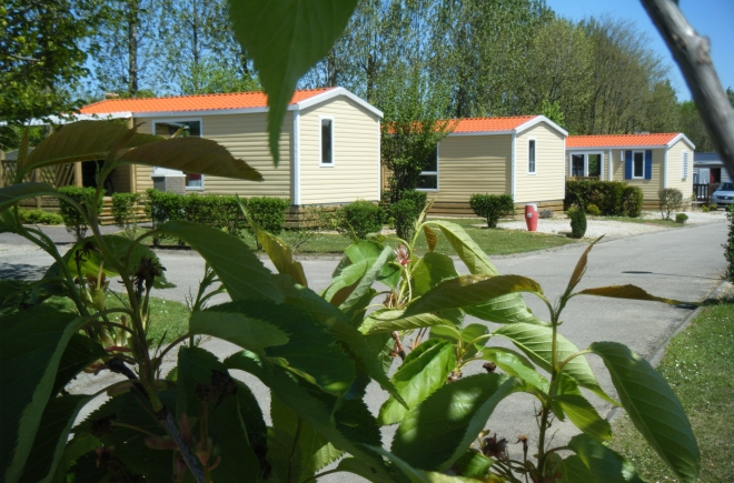 Camping Vitamin Hoog-Normandië - Saint-Aubin-sur-Scie visuel 9/11 Camping Vitamin Hoog-Normandië - Saint-Aubin-sur-Scie visuel 9/11