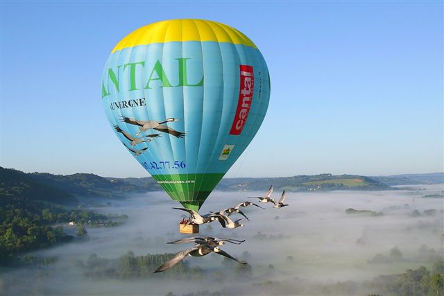 Voler avec Les Oiseaux Auvergne - Saint-Simon visuel 1/8 Voler avec Les Oiseaux Auvergne - Saint-Simon visuel 1/8