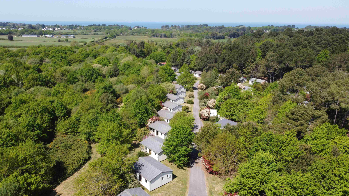 Bois de Bayadène Pays de Loire - Piriac-sur-Mer visuel 10/10 Bois de Bayadène Pays de Loire - Piriac-sur-Mer visuel 10/10
