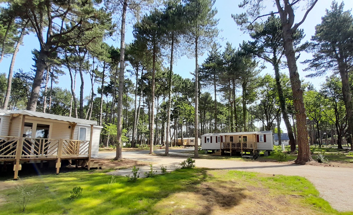Bois de Bayadène Pays de Loire - Piriac-sur-Mer visuel 7/10 Bois de Bayadène Pays de Loire - Piriac-sur-Mer visuel 7/10