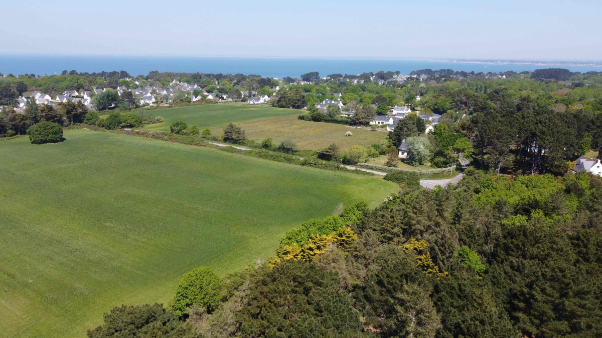 Bois de Bayadène Pays de Loire - Piriac-sur-Mer visuel 2/10 Bois de Bayadène Pays de Loire - Piriac-sur-Mer visuel 2/10