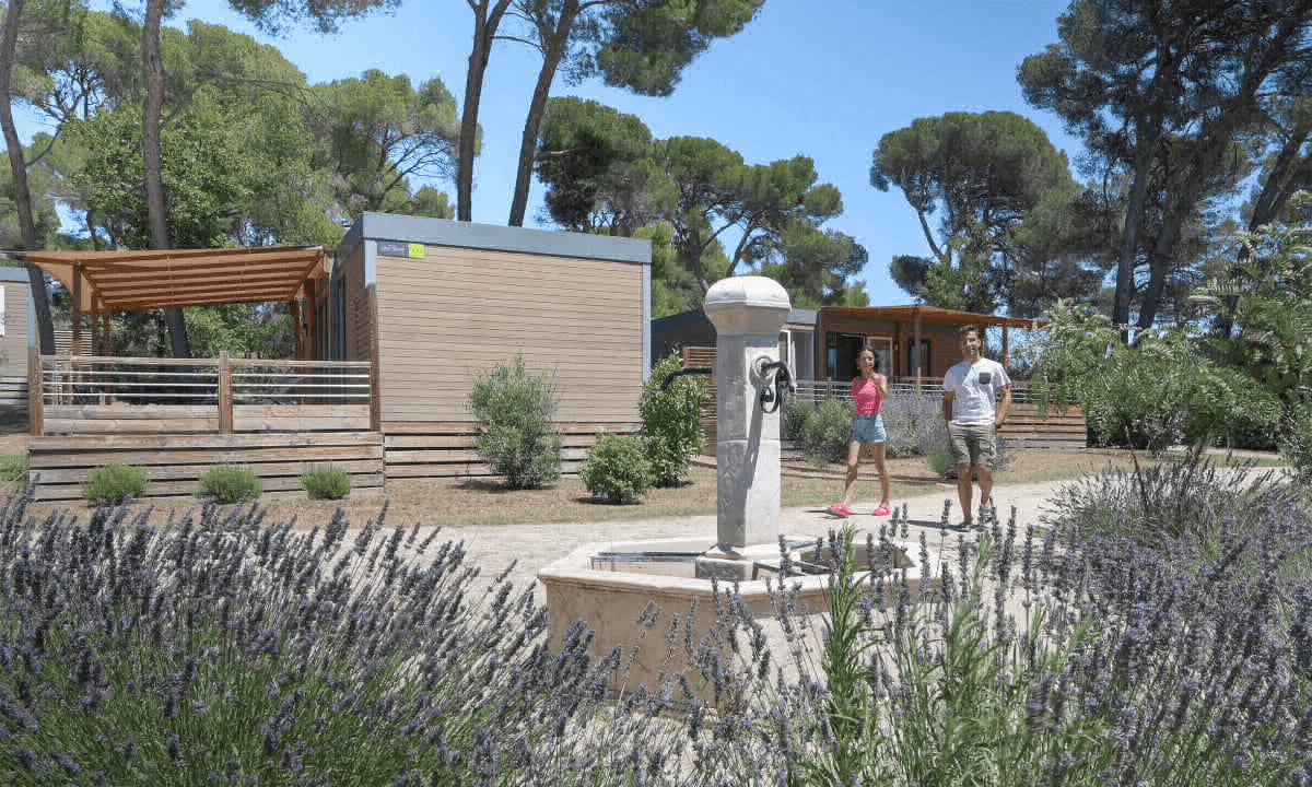 Avignon Parc Provence-Alpes-Côte d'Azur - Vedène visuel 14/16