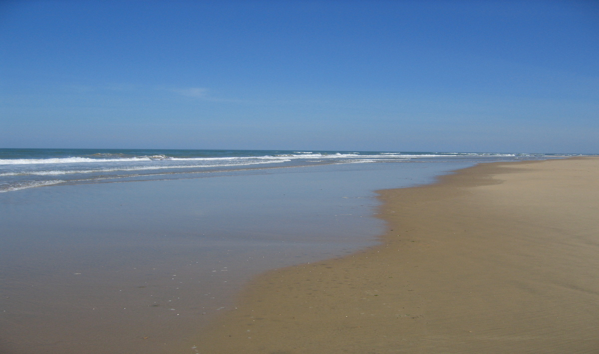 Siblu Bonne Anse Plage - Poitou-Charentes - Les Mathes-La Palmyre visuel 21/21 Siblu Bonne Anse Plage - Poitou-Charentes - Les Mathes-La Palmyre visuel 21/21