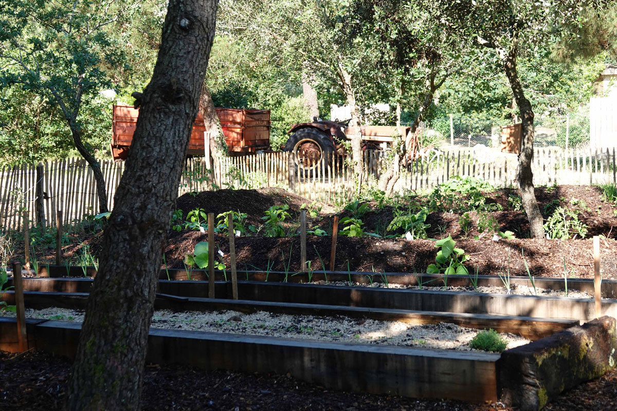 Camping des Pins Aquitaine - Soulac-sur-Mer visuel 20/22