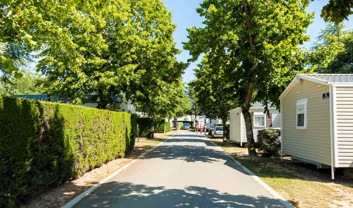Camping Club MS Le Trianon Pays de Loire - Sables-d'Olonne visuel 49/51 Camping Club MS Le Trianon Pays de Loire - Sables-d'Olonne visuel 49/51