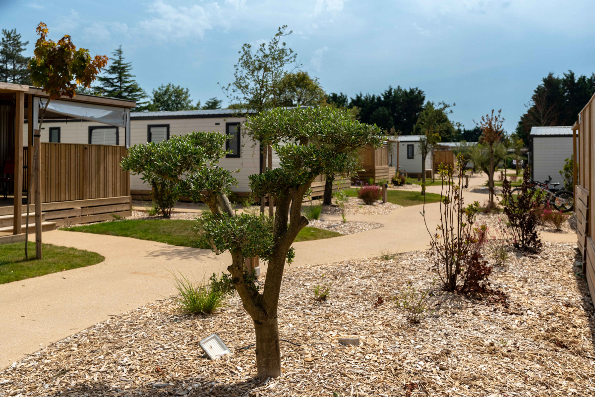 Camping Club MS Le Trianon Pays de Loire - Sables-d'Olonne visuel 42/51 Camping Club MS Le Trianon Pays de Loire - Sables-d'Olonne visuel 42/51