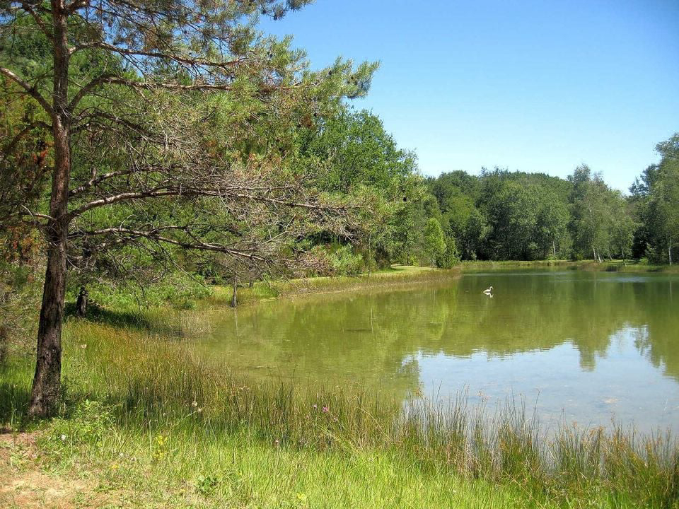 Etang Bleu Aquitaine - Vieux-Mareuil visuel 8/8 Etang Bleu Aquitaine - Vieux-Mareuil visuel 8/8