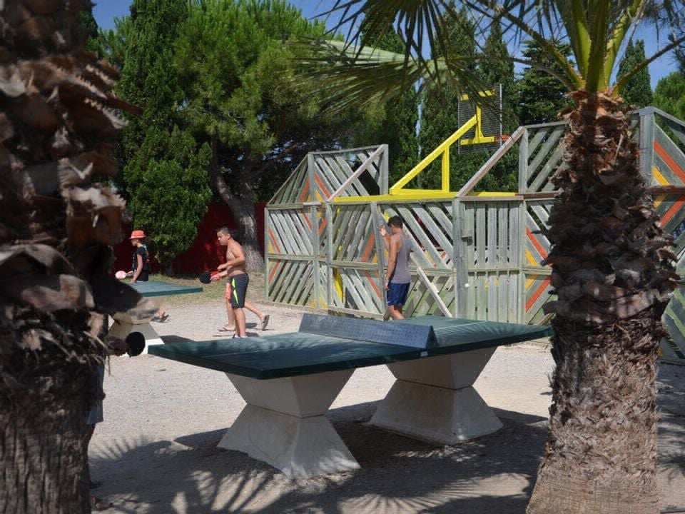 L'Oasis Palavasienne Languedoc-Roussillon - Lattes visuel 6/9 L'Oasis Palavasienne Languedoc-Roussillon - Lattes visuel 6/9