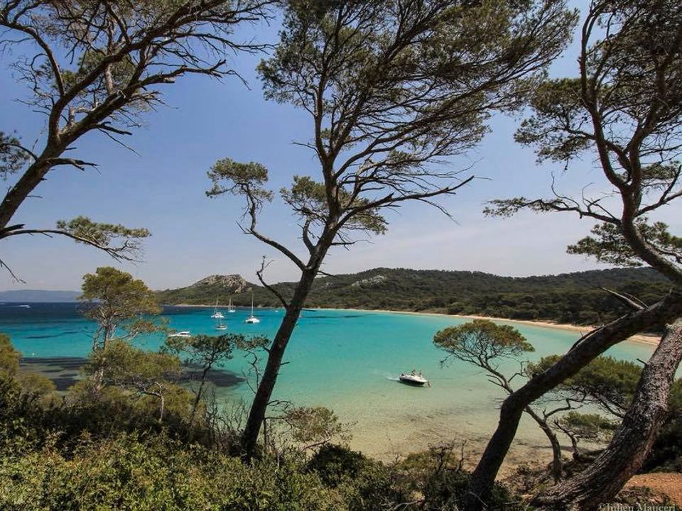 La Brûlade Provence-Alpes-Côte d'Azur - La Londe-les-Maures visuel 5/6 La Brûlade Provence-Alpes-Côte d'Azur - La Londe-les-Maures visuel 5/6
