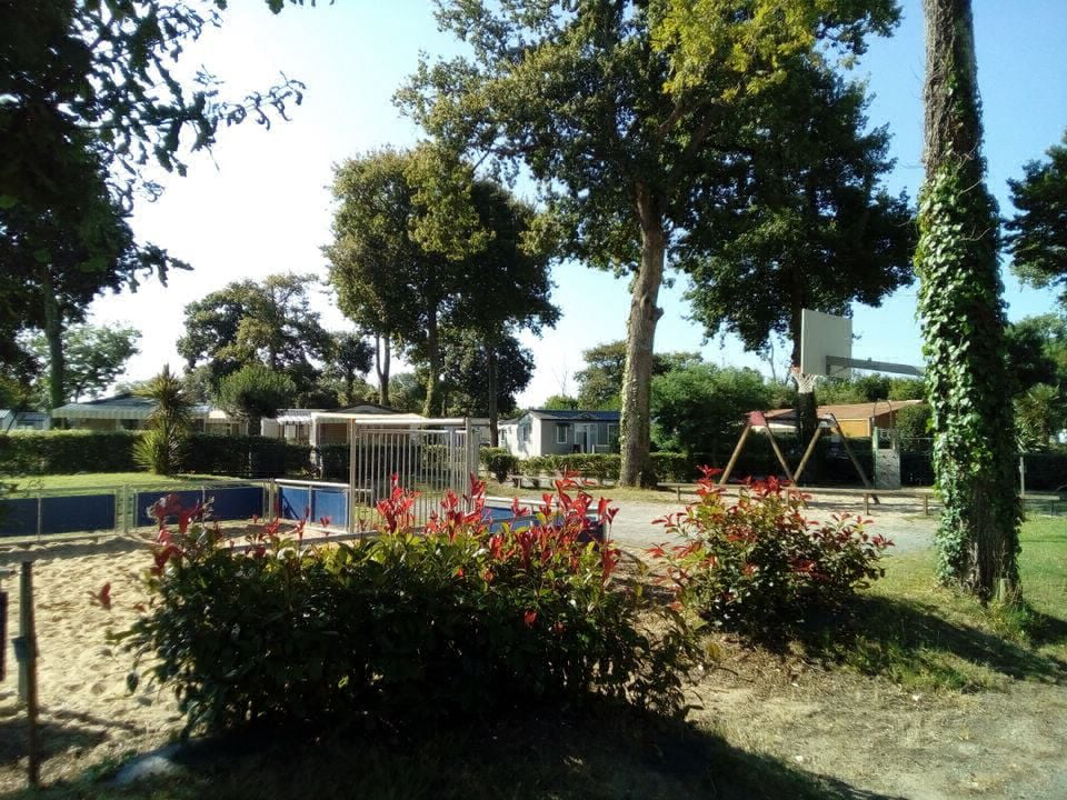 La Cailletière Poitou-Charentes - Dolus d'Oléron visuel 5/10 La Cailletière Poitou-Charentes - Dolus d'Oléron visuel 5/10