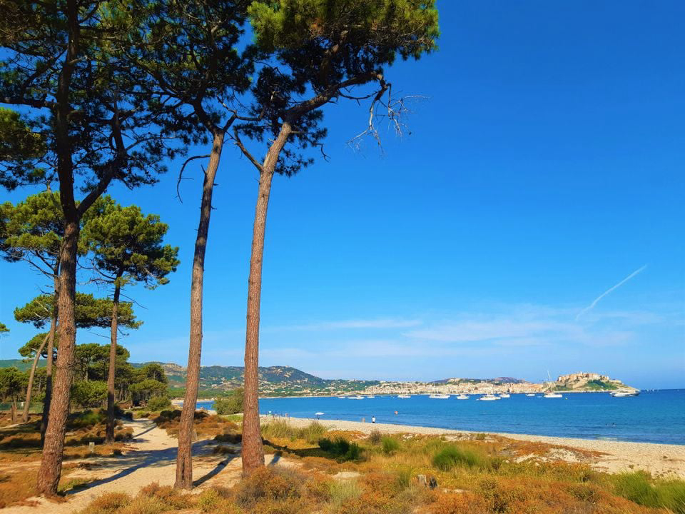 La Dolce Vita Corsica - Calvi visuel 1/11