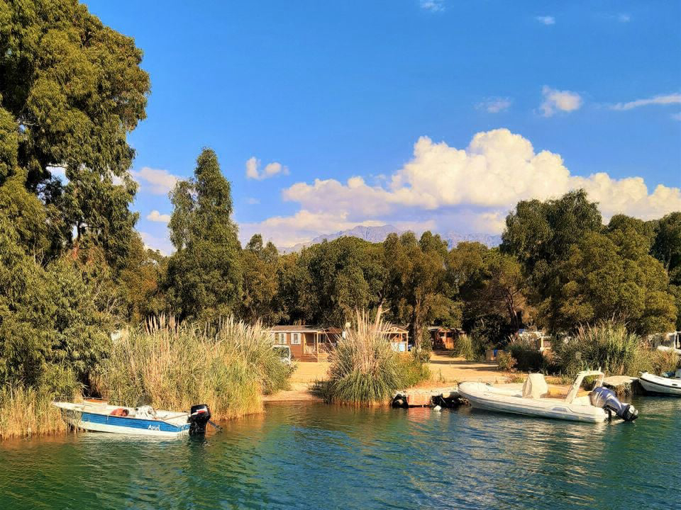 La Dolce Vita Corsica - Calvi visuel 5/11