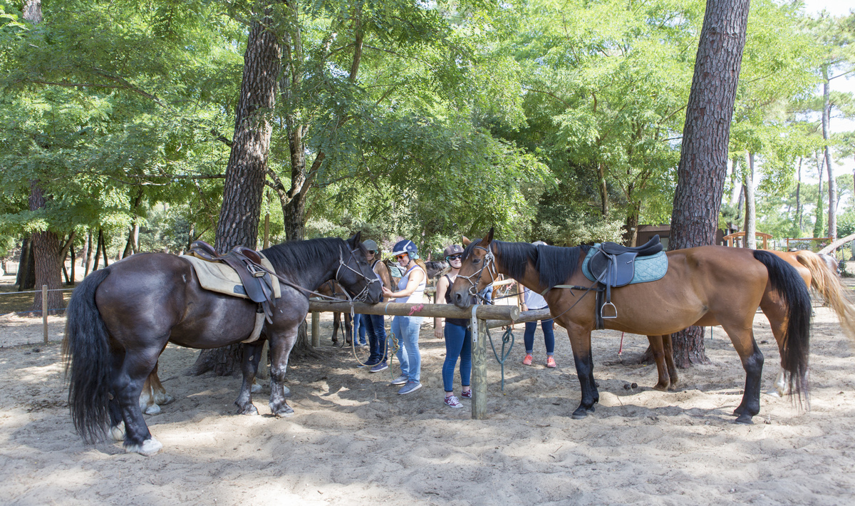 La Pignade Poitou-Charentes - Ronce-les-Bains visuel 11/22 La Pignade Poitou-Charentes - Ronce-les-Bains visuel 11/22