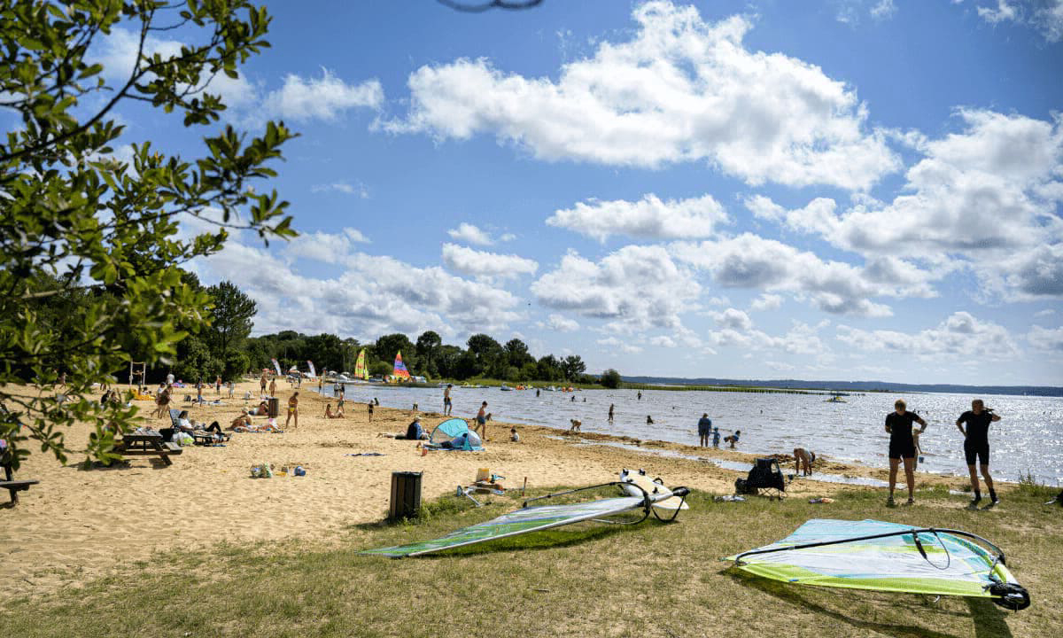 la Rive Aquitaine - Biscarrosse visuel 9/21 la Rive Aquitaine - Biscarrosse visuel 9/21