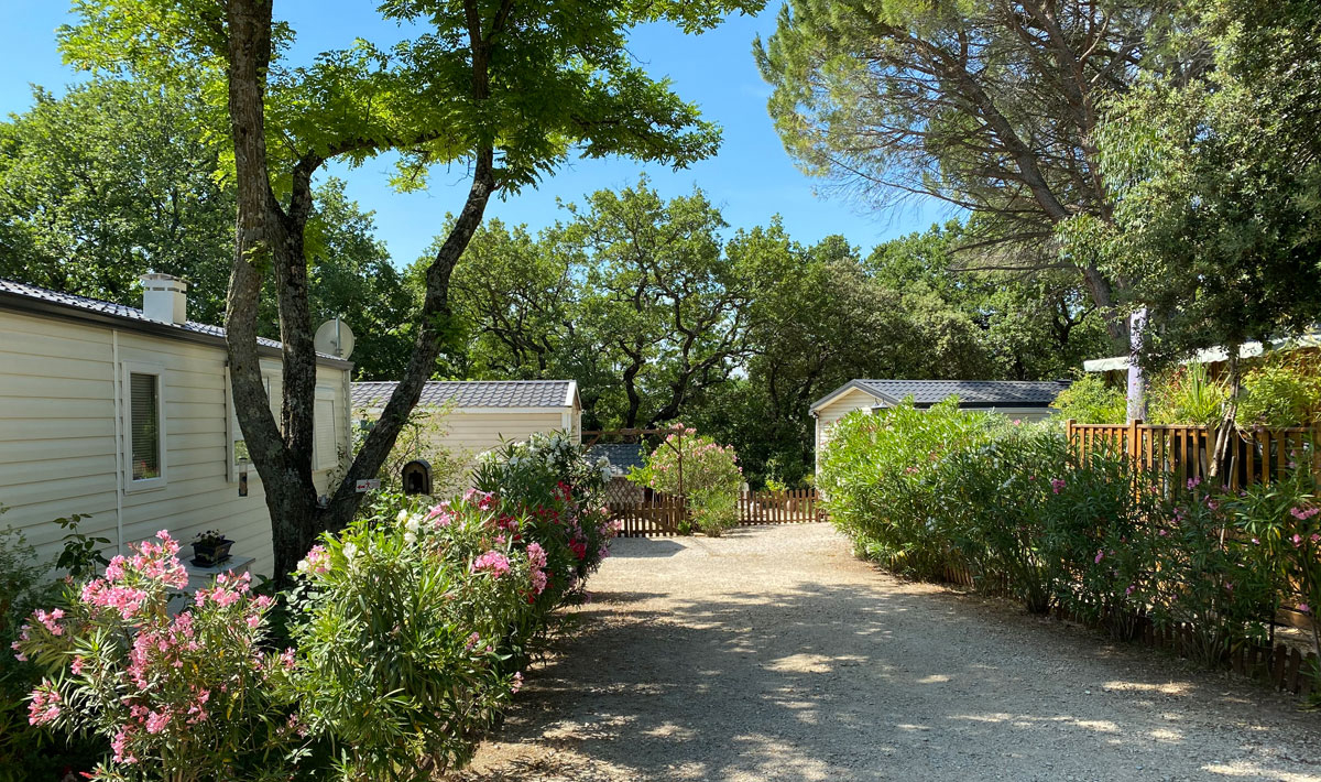 La Vallée de Barry Provence-Alpes-Côte d'Azur - Bollène visuel 4/9 La Vallée de Barry Provence-Alpes-Côte d'Azur - Bollène visuel 4/9