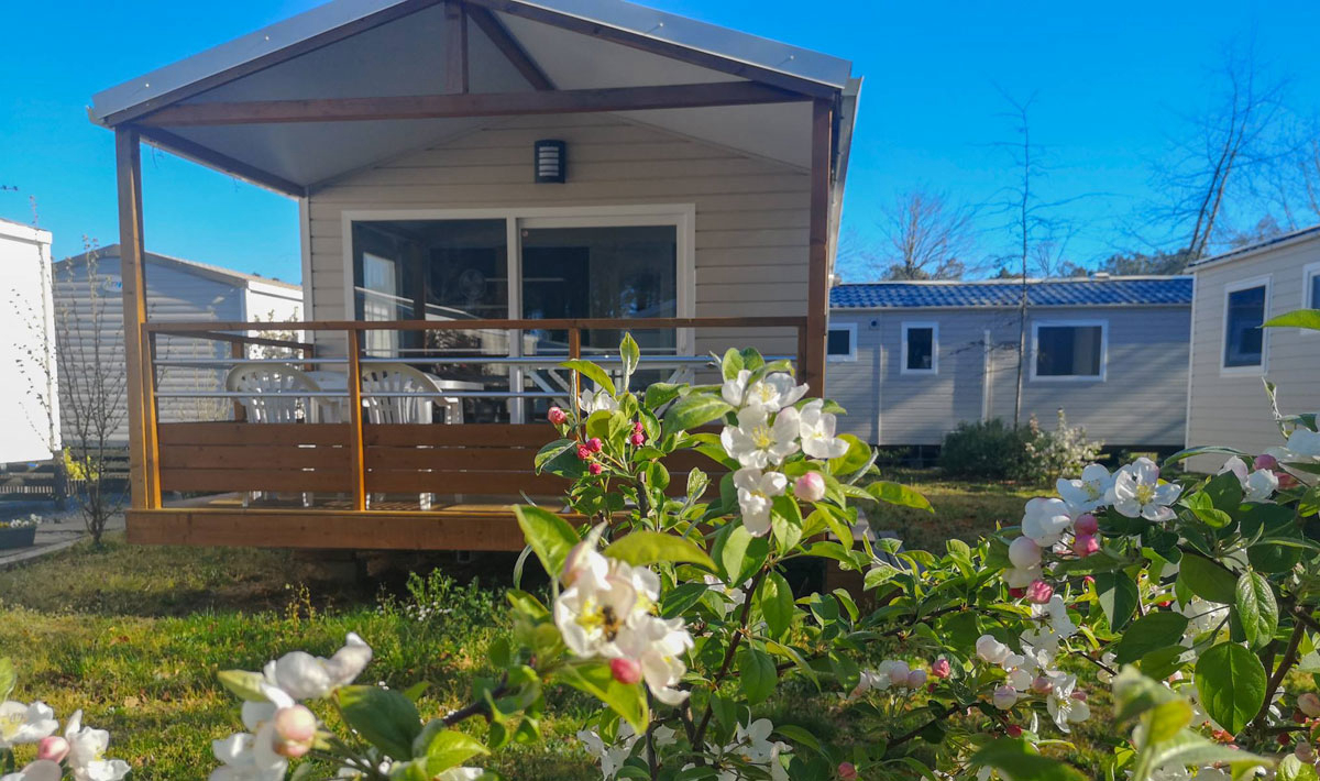 Landes Azur Aquitaine - Azur visuel 15/23 Landes Azur Aquitaine - Azur visuel 15/23