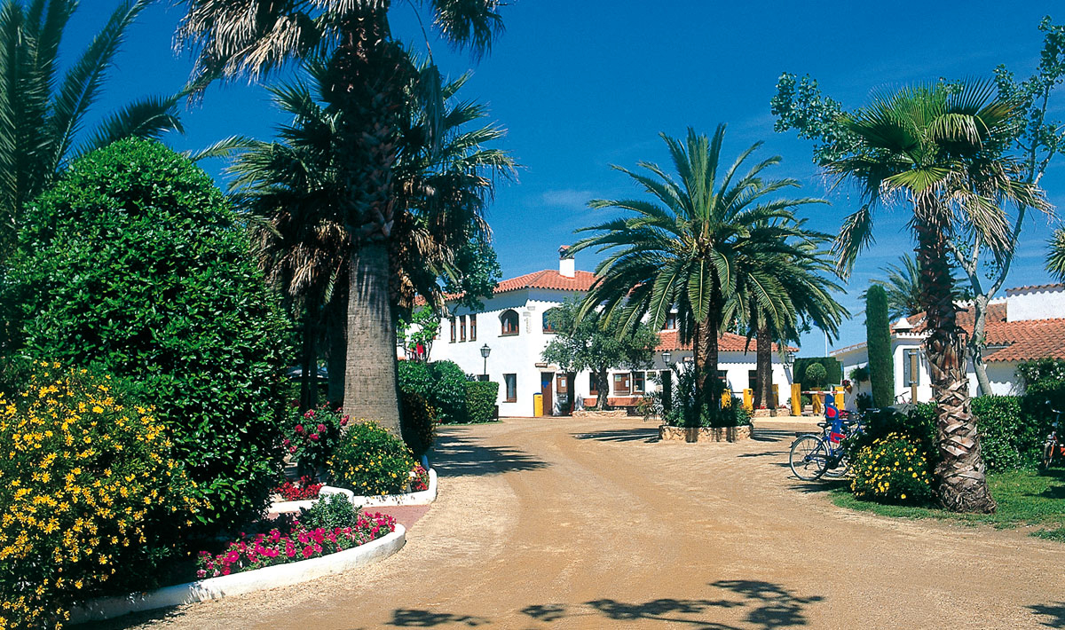 Las Palmeras Costa Brava - Sant Pere visser visuel 20/22 Las Palmeras Costa Brava - Sant Pere visser visuel 20/22