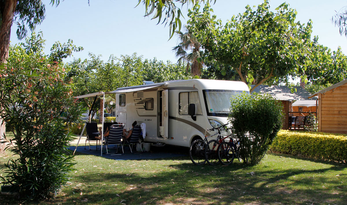 Las Palmeras Costa Brava - Sant Pere visser visuel 17/22 Las Palmeras Costa Brava - Sant Pere visser visuel 17/22
