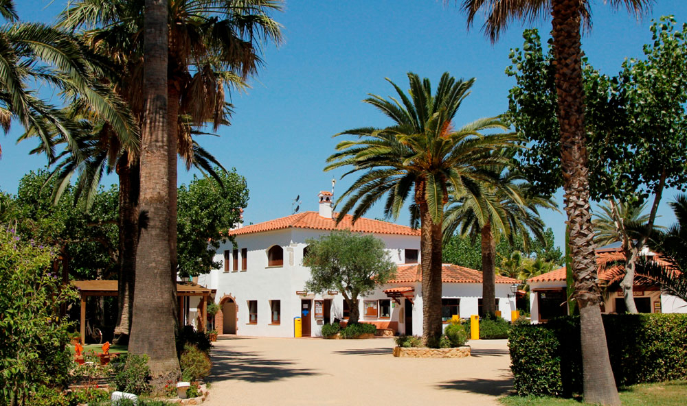 Las Palmeras Costa Brava - Sant Pere visser visuel 8/22 Las Palmeras Costa Brava - Sant Pere visser visuel 8/22