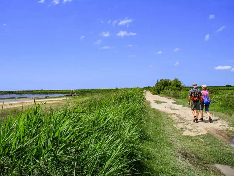 Le Braou Aquitaine - Audenge visuel 7/11 Le Braou Aquitaine - Audenge visuel 7/11