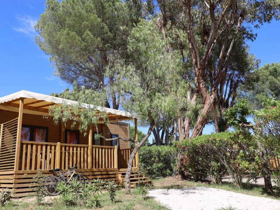 Le Hameau des Pins La moutonne - Provence-Alpes-Côte d'Azur - La Crau visuel 7/7 Le Hameau des Pins La moutonne - Provence-Alpes-Côte d'Azur - La Crau visuel 7/7