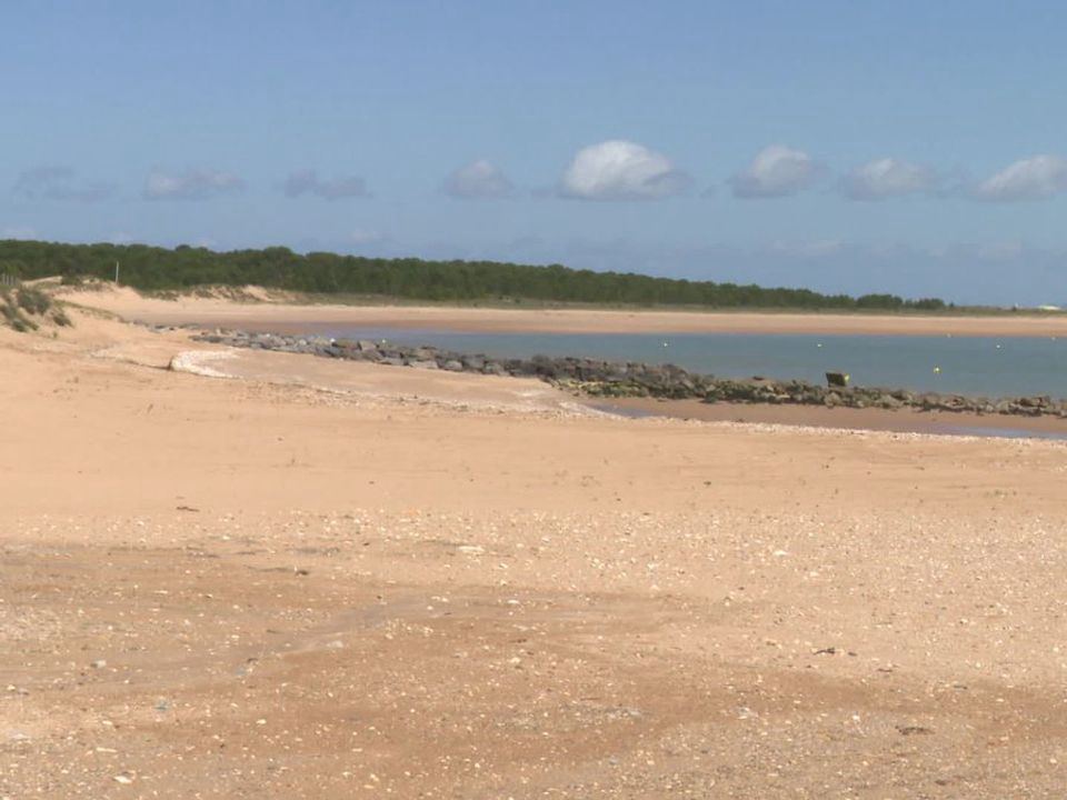 Le Sous Bois Poitou-Charentes - Saint-Pierre-d'Oléron visuel 11/11
