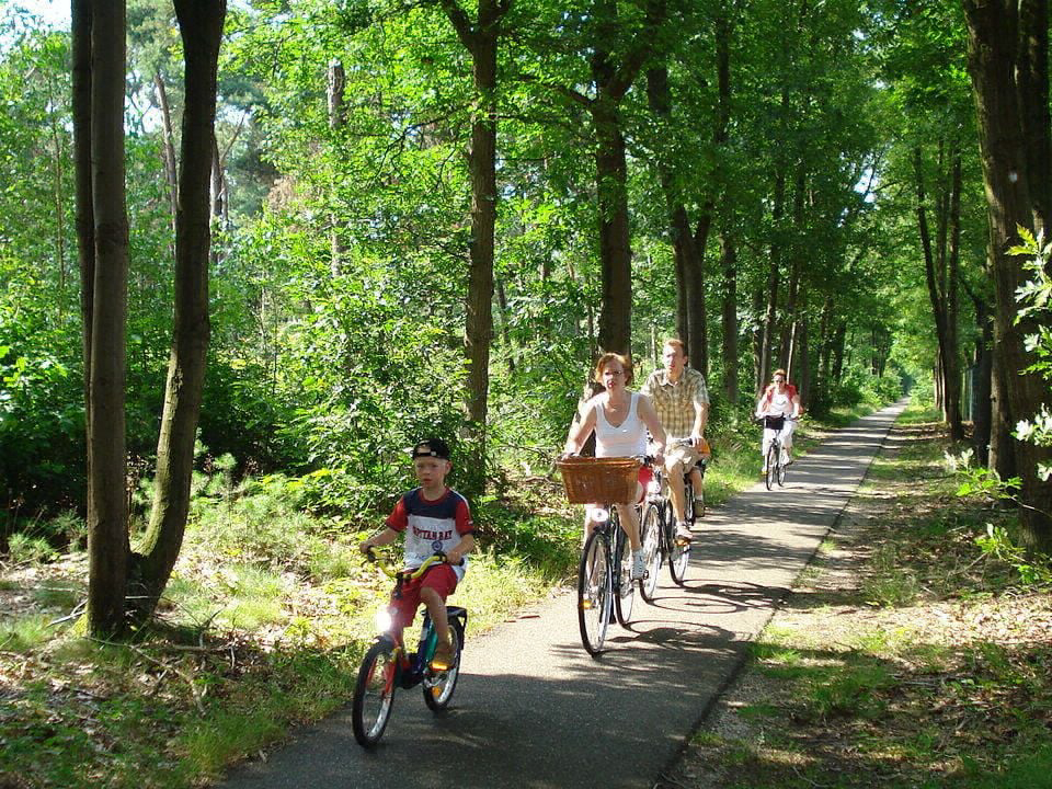 Les Amandiers Languedoc-Roussillon - Gallargues le Montueux visuel 11/13 Les Amandiers Languedoc-Roussillon - Gallargues le Montueux visuel 11/13