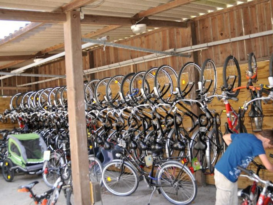 Les Coquettes Poitou-Charentes - Saint-Georges-d'Oléron visuel 4/6