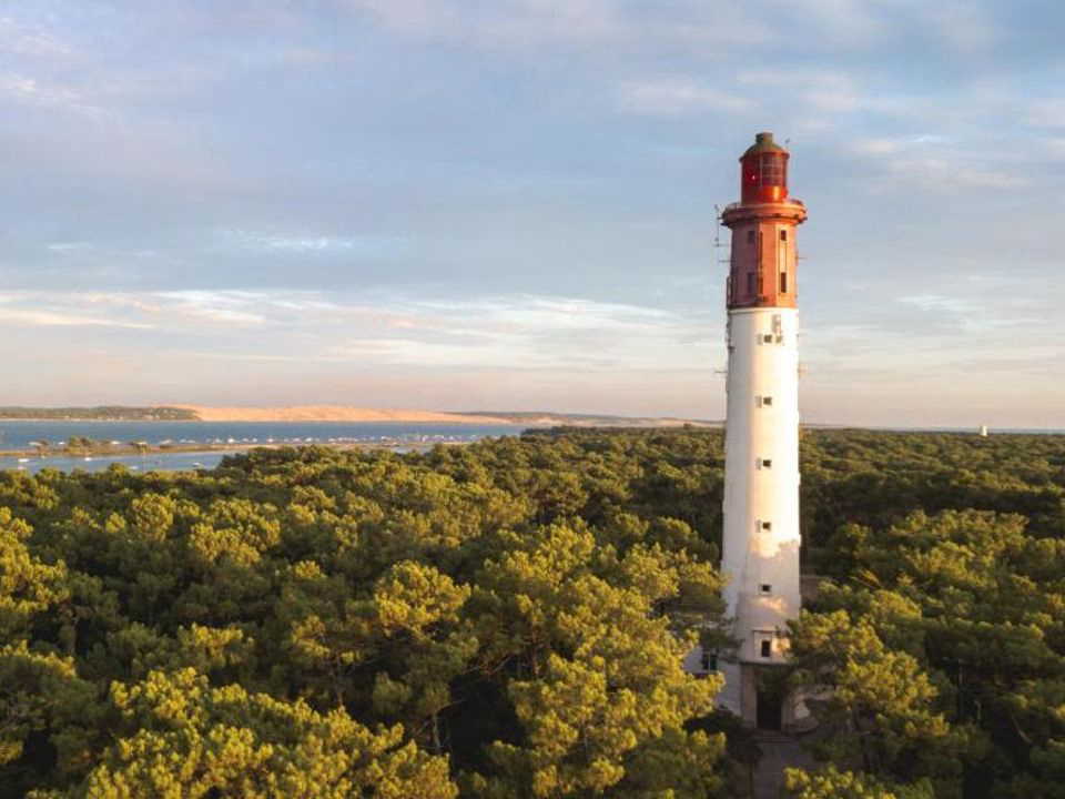 Les Goelands Aquitaine - Ares visuel 4/4 Les Goelands Aquitaine - Ares visuel 4/4