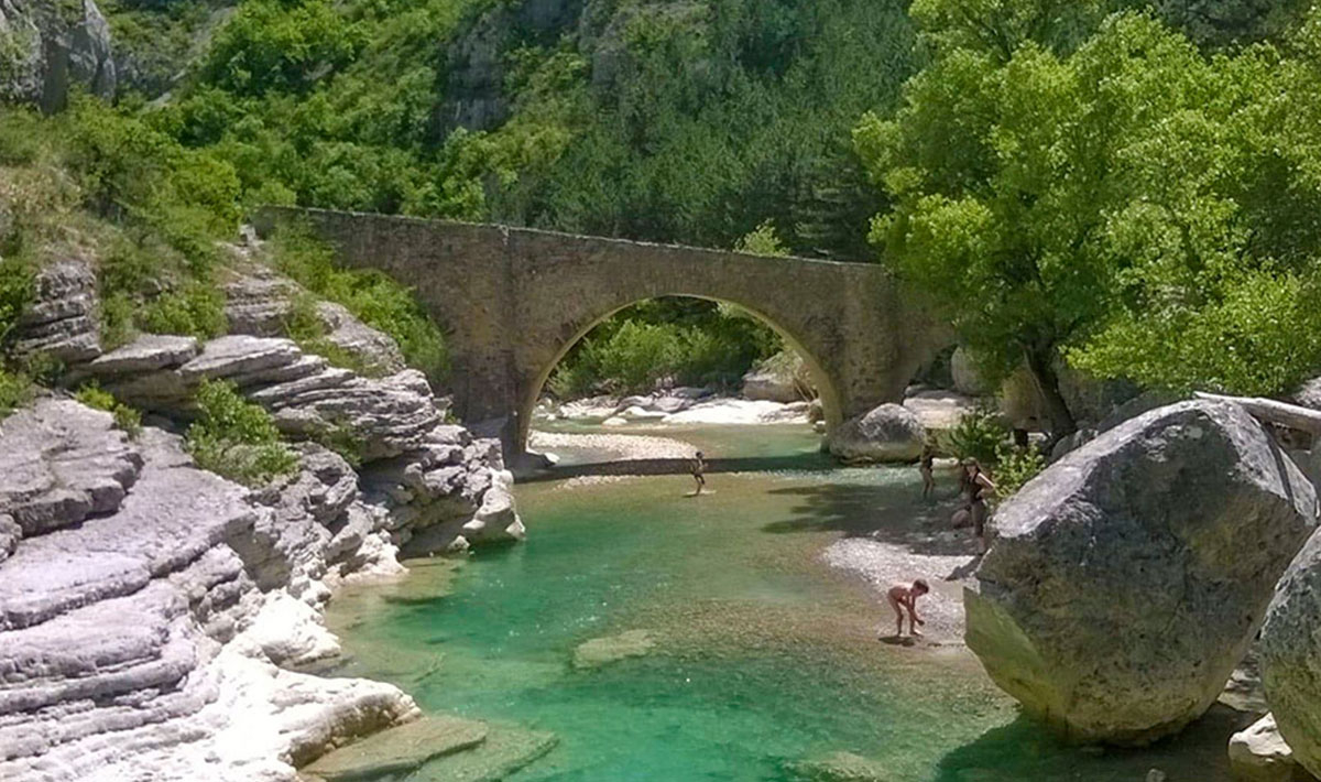 Les Myotis Provence-Alpes-Côte d'Azur - Zusteron visuel 3/17 Les Myotis Provence-Alpes-Côte d'Azur - Zusteron visuel 3/17