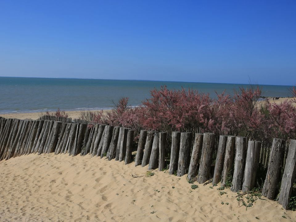Les Préveils Pays de Loire - La Tranche-sur-Mer visuel 7/7 Les Préveils Pays de Loire - La Tranche-sur-Mer visuel 7/7