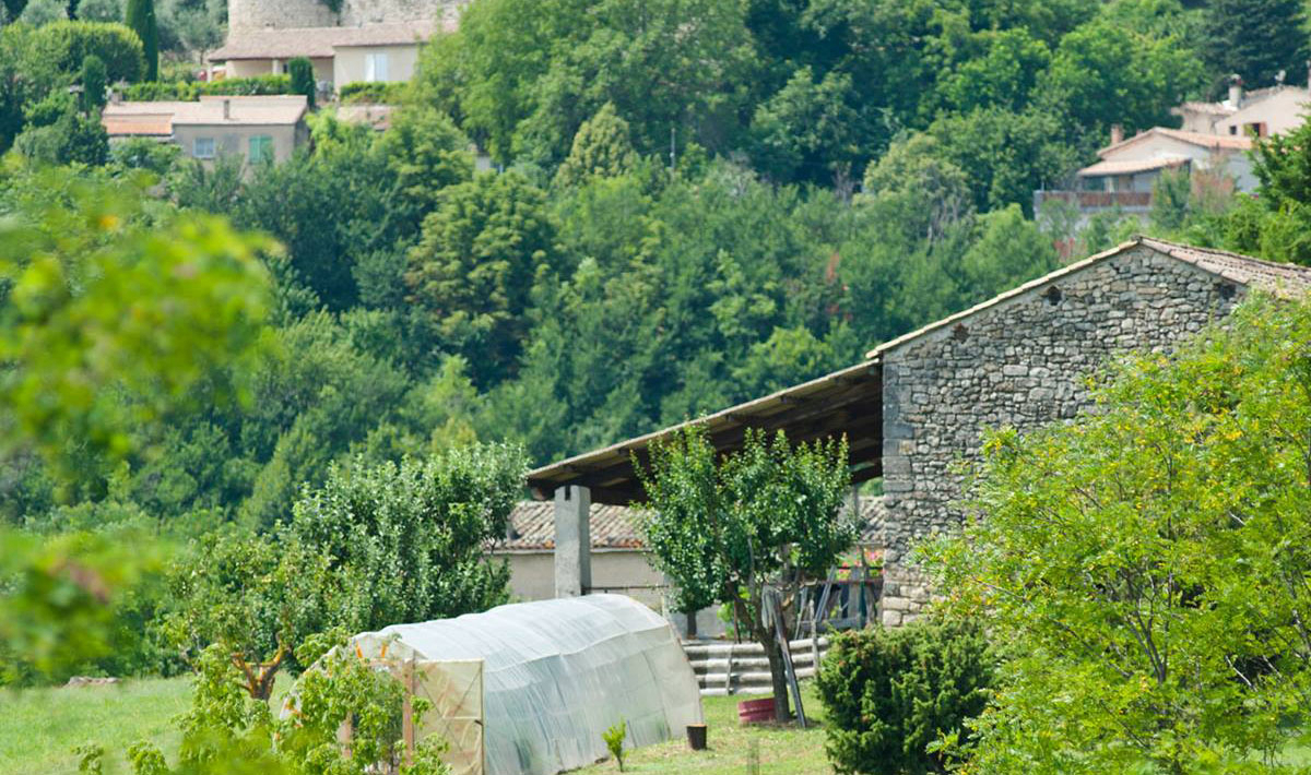 Les Routes de Provence Provence-Alpes-Côte d'Azur - Forcalquier visuel 8/9