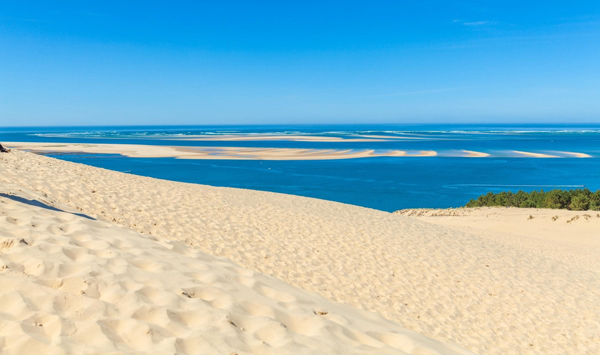 Les Viviers Aquitaine - Luik Cap Ferret visuel 6/15 Les Viviers Aquitaine - Luik Cap Ferret visuel 6/15