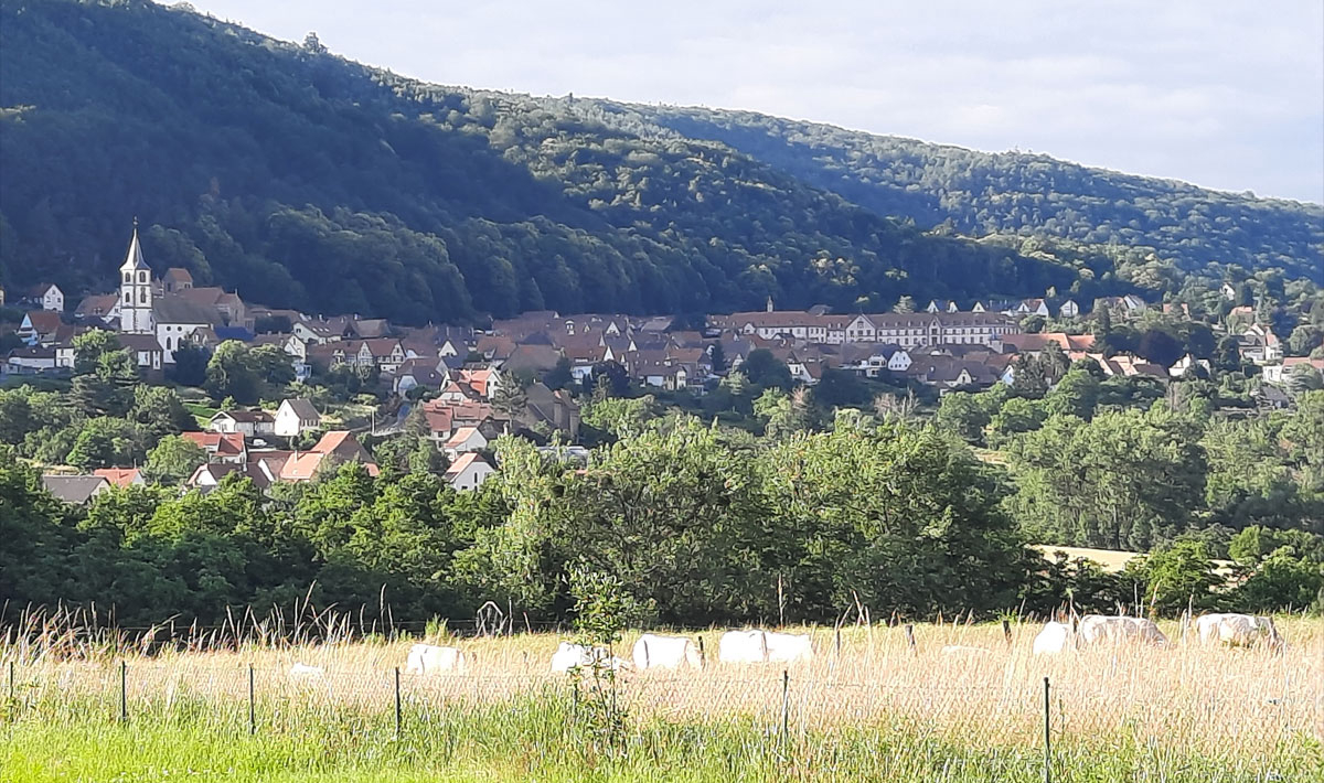 L'Oasis Elzas - Oberbronn visuel 7/15 L'Oasis Elzas - Oberbronn visuel 7/15